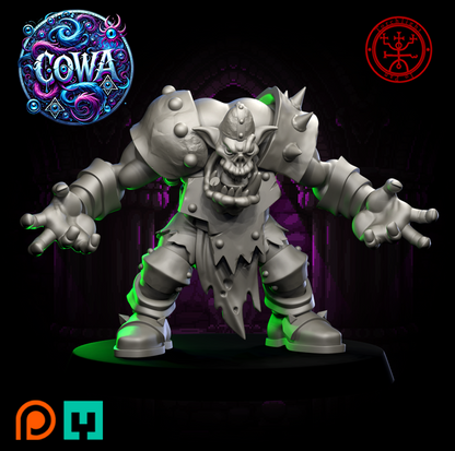 COWA Chaos Old World Alliance Team for Fantasy Football Miniature Tabletop Game Torchlight Models