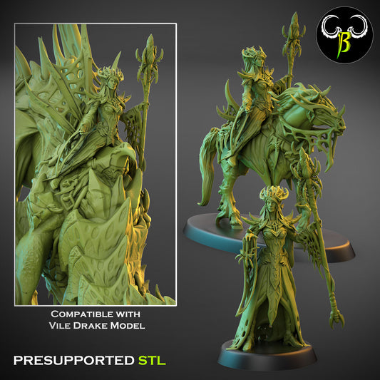 Silk Enchanteress - Cult of the EIGHT - Dark Elves army - Clay Beast Creations - TheMajorLab