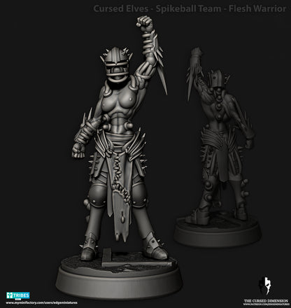 Spikeball Team Cursed Elves Dark Elves for Fantasy Football Miniature Tabletop Game Edge Miniatures