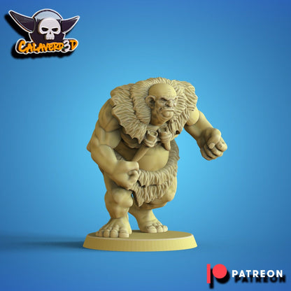 Primal Ogres Team Fantasy Football Calaverd3D - TheMajorLab