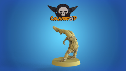 Vega Elven Alliance Team for Fantasy Football Miniature Tabletop Game Calaverd3D