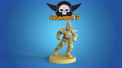 Dark Elves Team for Fantasy Football Miniature Tabletop Game Calaverd3D
