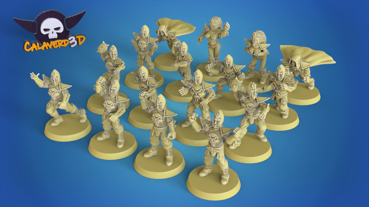 Dark Elves Team for Fantasy Football Miniature Tabletop Game Calaverd3D