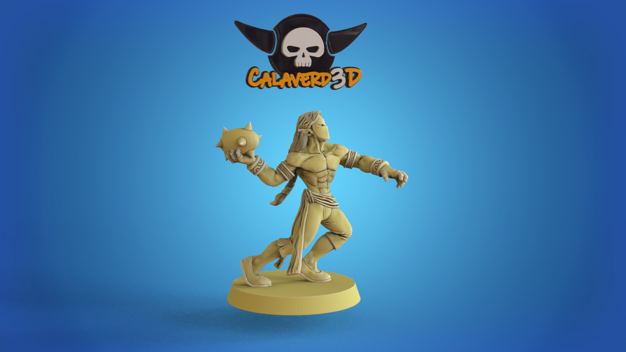 Vega Elven Alliance Team for Fantasy Football Miniature Tabletop Game Calaverd3D