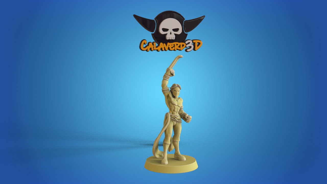 Vega Elven Alliance Team for Fantasy Football Miniature Tabletop Game Calaverd3D